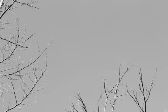 XCasino Kasino Sokongan